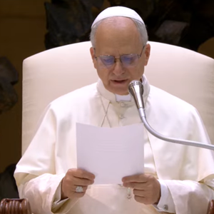 Papina kateheza na općoj audijenciji u srijedu 13. kolovoza